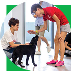 導盲犬繁殖、訓練及維護計劃 

Artificial Insemination Training & Guide Dog Breeding