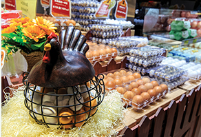 Shopping Experience Takes Flight at Fu Tung Plaza富東廣場 優化購物體驗迎客