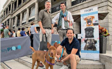 夥拍 Time Out Magazine 舉辦 Wine Walk 2012 成功吸引逾千名市民及狗主到場支持 Wine Walk Support from Over 1,000 Citizens and Dog Owners