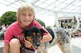 小狗與主人參與「赤柱廣場 x Olympets」。
Dogs and their owners gather at "Stanley Plaza Olympets".