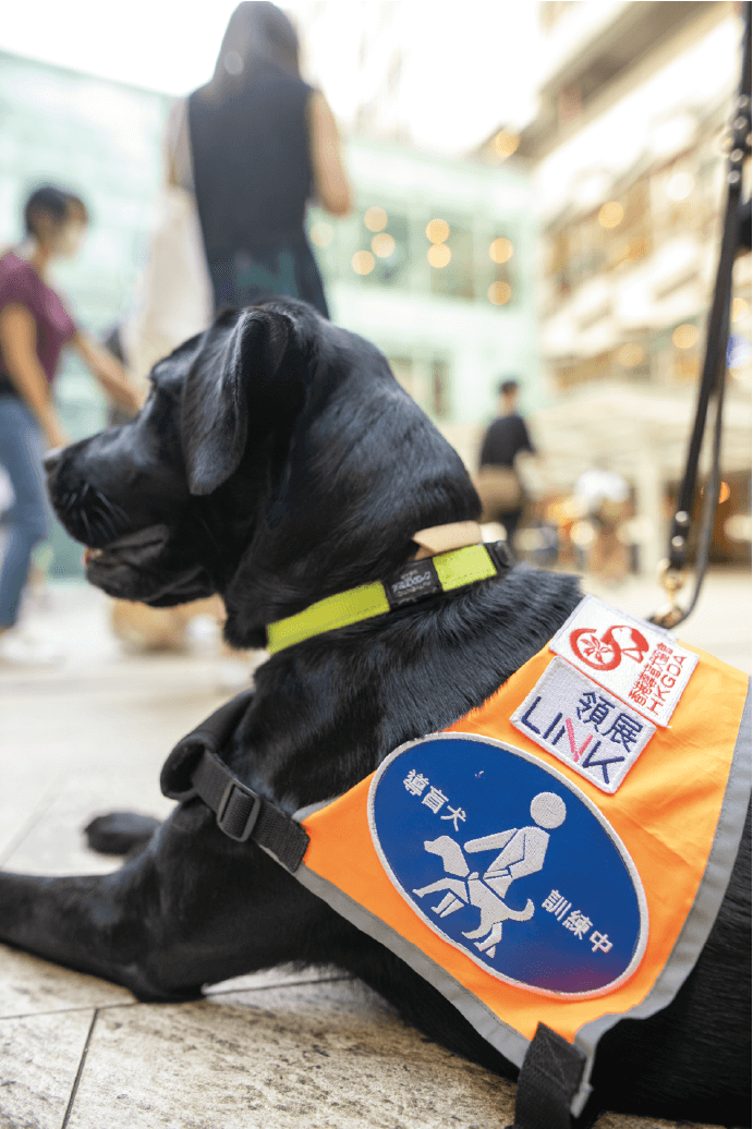 領展在香港導盲犬協會「初創」時期已身體力行支持協會。由2013年起，領展開放旗下所有物業給導盲幼犬進行訓練，並從2014年至今支持協會發展導盲犬服務。